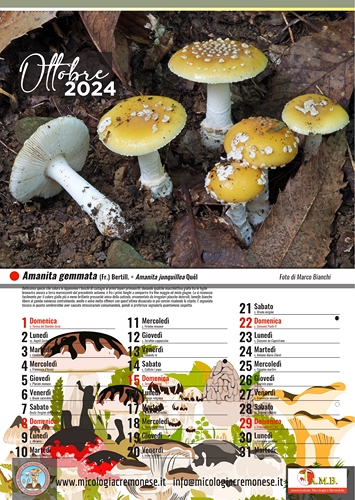  calendario gruppo micologico 202412 Copia